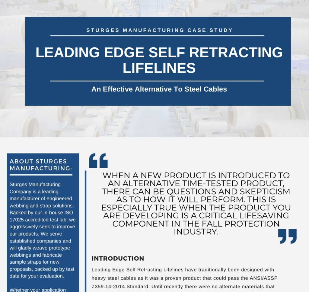 preview image of the case study