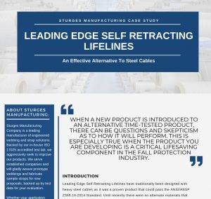 preview image of the case study